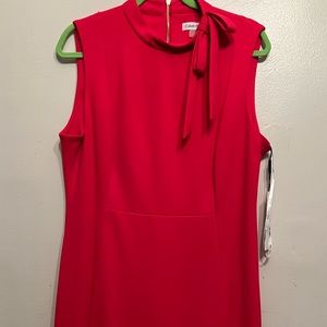 Calvin Klein Hot Pink Dress